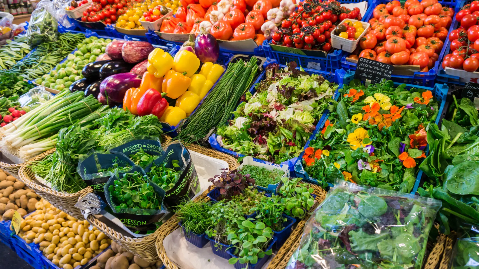 How Financial Advisors Can Become Thought Leaders Online